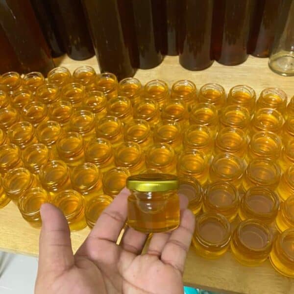 Fb Img 1677505588099